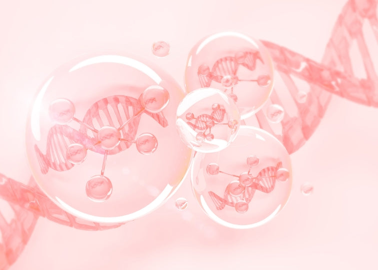 The Biology of Recovery: Growth Factors and Skin Repair Explained